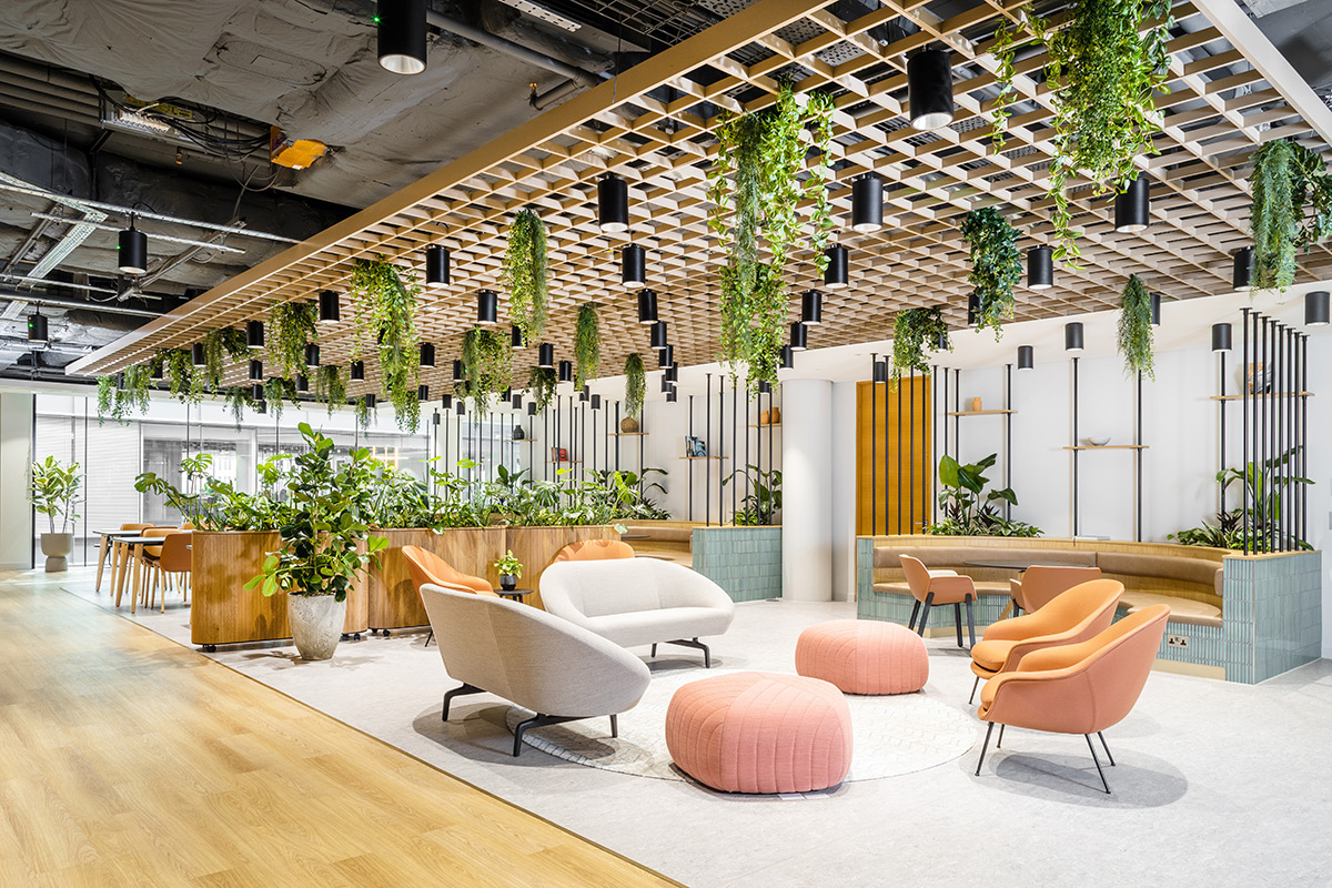 Biophilic design brightening an office space